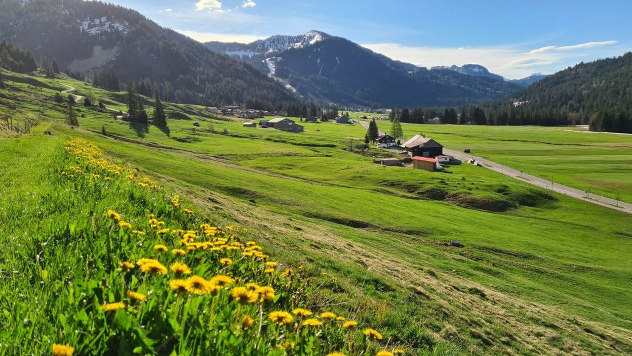 Balderschwanger Tal im Frühjahr Balderschwanger Tal im Frühjahr